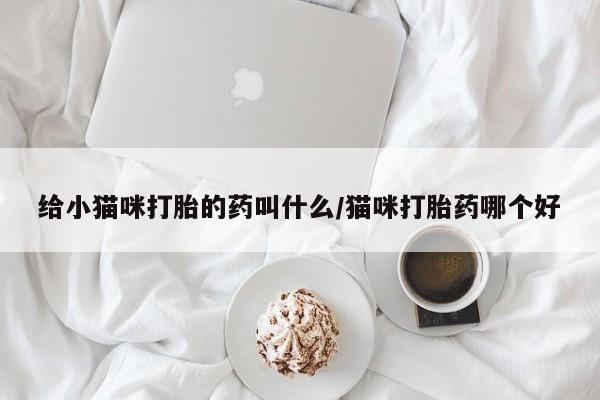 打胎药叫什么名字微信怎么购买给小猫咪打胎的药叫什么/猫咪打胎药哪个好