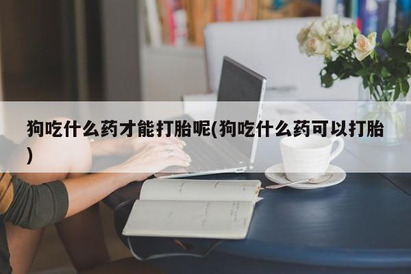 打胎药叫什么名字微信怎么购买狗吃什么药才能打胎呢(狗吃什么药可以打胎)