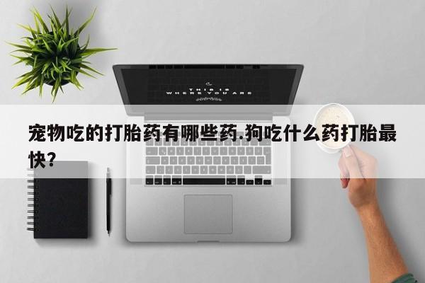 打胎药叫什么名字微信怎么购买宠物吃的打胎药有哪些药.狗吃什么药打胎最快？