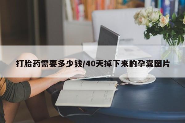 打胎药叫什么名字微信怎么购买打胎药需要多少钱/40天掉下来的孕囊图片